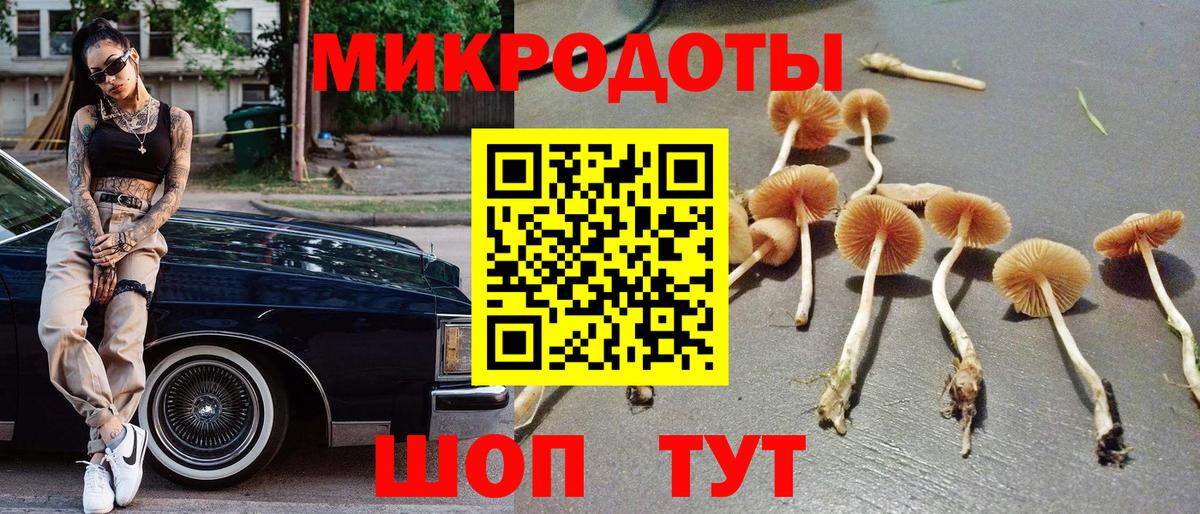 Псилоцибиновые грибы Psilocybine cubensis  Вход с VPN  Ревда 
