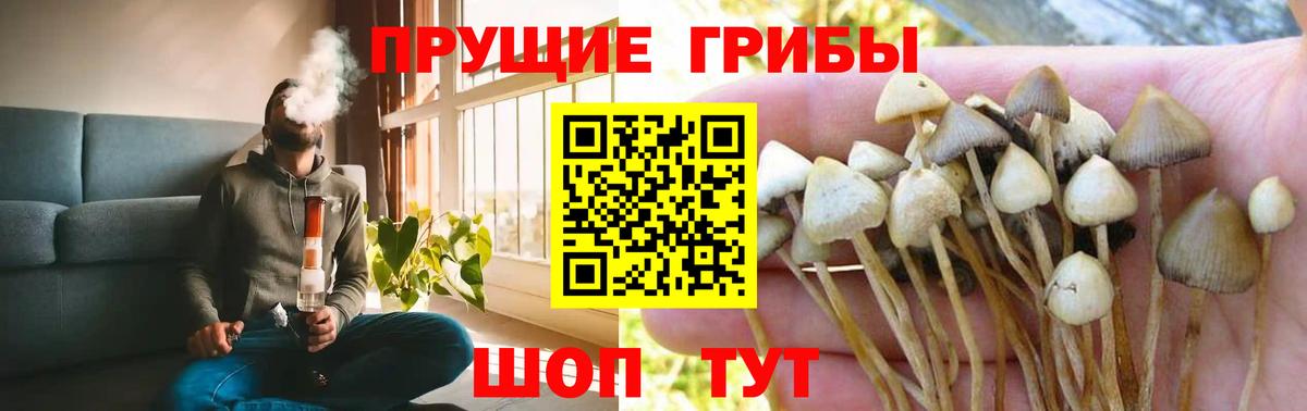 Галлюциногенные грибы прущие грибы Ревда